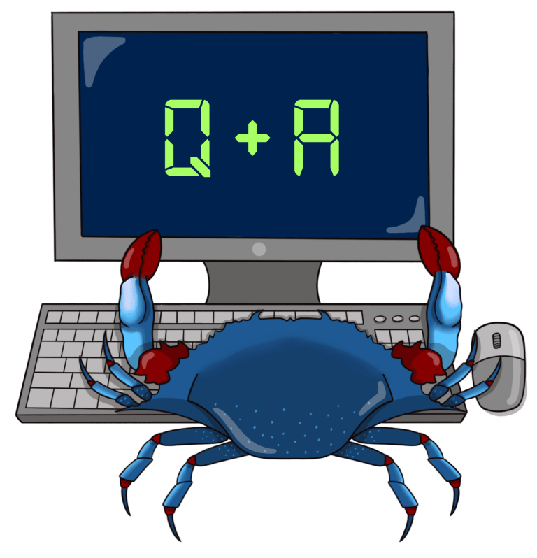 crab in front of q & a desktop screen
